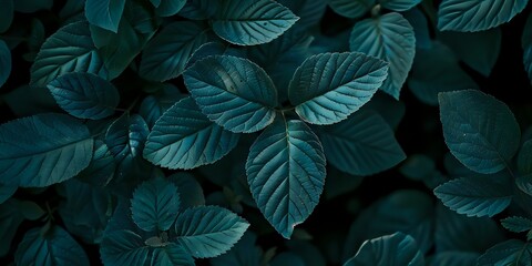 Fototapeta premium Deep Green Leaves Form Lush, Textured Background, Ideal for Nature-Inspired Designs