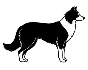 Simple Border Collier a side full body silhouette vector illustration