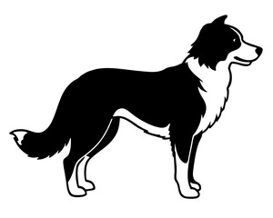 Simple Border Collier a side full body silhouette vector illustration
