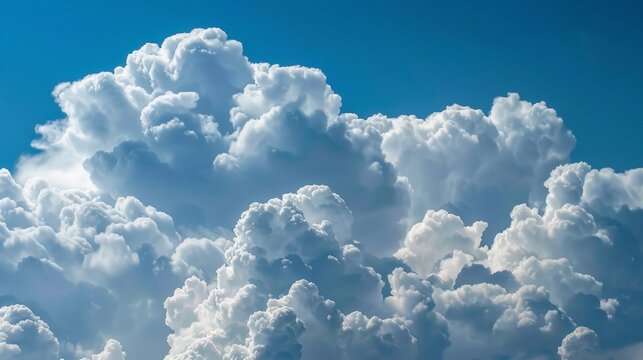 Thunderheads, or cumulonimbus clouds, tower high and bring powerful storms