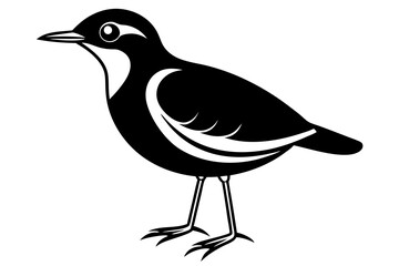 illustration of a bird silhouette vector