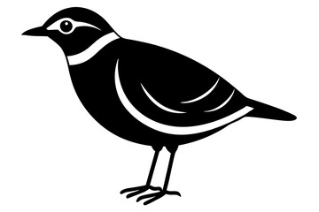 illustration of a bird silhouette vector