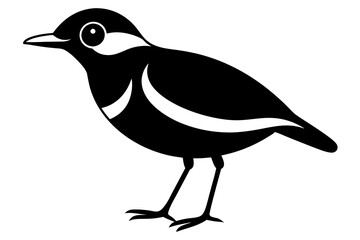 illustration of a bird silhouette vector