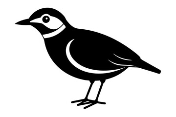 Fototapeta premium illustration of a bird silhouette vector