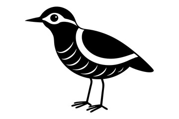 illustration of a bird silhouette vector