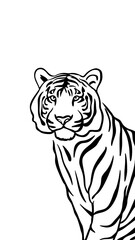 Obraz premium Tiger line art illustration, coloring page 