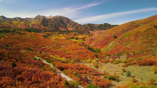 Aerial view of Snow basin landscape in Utah with brilliant fall foliage.