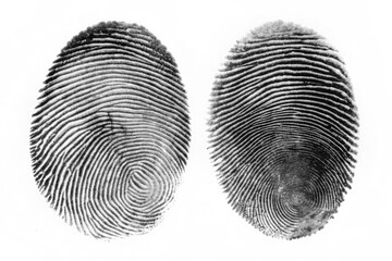 Two Black Fingerprint Impressions on White Background.