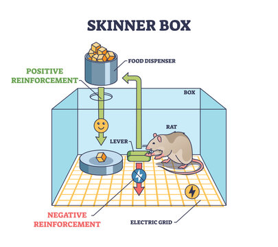 Skinner box and operant conditioning chamber experiment outline diagram. Behavioral stimulus test explanation with positive and negative reinforcement after pushing lever for food vector illustration