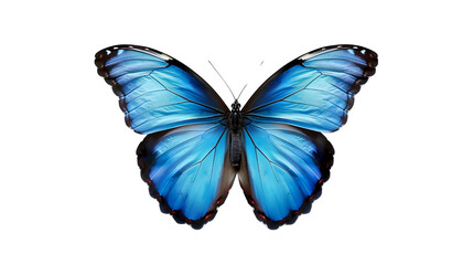 Obraz premium blue butterfly on white background, generative ai