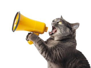 a cat yelling into a megaphone