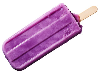 a purple popsicle with a wooden stick