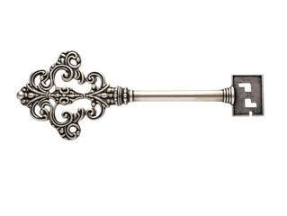 a silver key with a decorative design