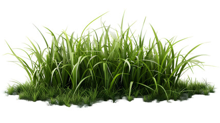 Green  grass isolated on png background,generative ai