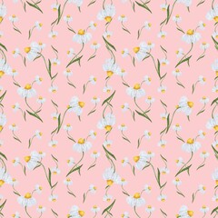 Seamless floral pattern repeating hand drawn illustration. Watercolor illustration isolated chamomile on pink background.