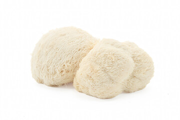 Fresh Lion's Mane mushrooms on a white background.