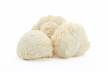Fresh Lion's Mane mushrooms on a white background.