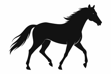 
morgan horse silhouette, horse silhouette vector