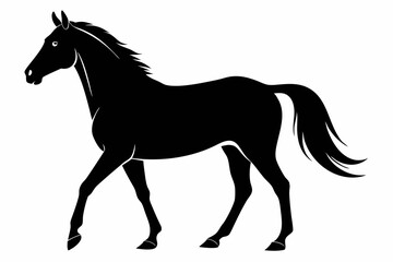 
morgan horse silhouette, horse silhouette vector