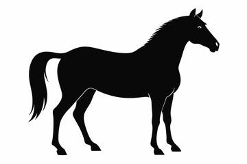 
morgan horse silhouette, horse silhouette vector