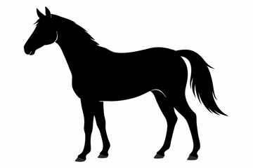 
morgan horse silhouette, horse silhouette vector