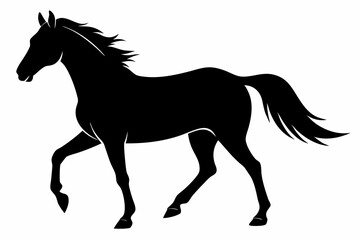 
morgan horse silhouette, horse silhouette vector