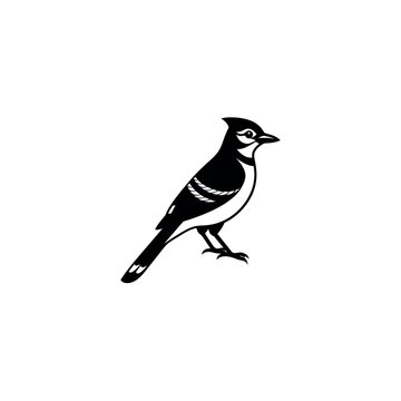 recommend clip art: blue jay bird 