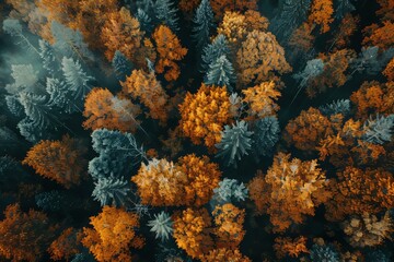 Vibrant Autumn Forest Landscape Flat Lay Generative AI