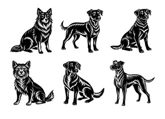 Obraz premium Vector illustrations of various black and white cats in different poses on white background