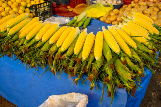 Fresh corncobs In Local Food Market
