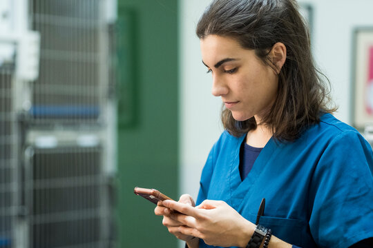 Veterinarian Using Smartphone in Clinic