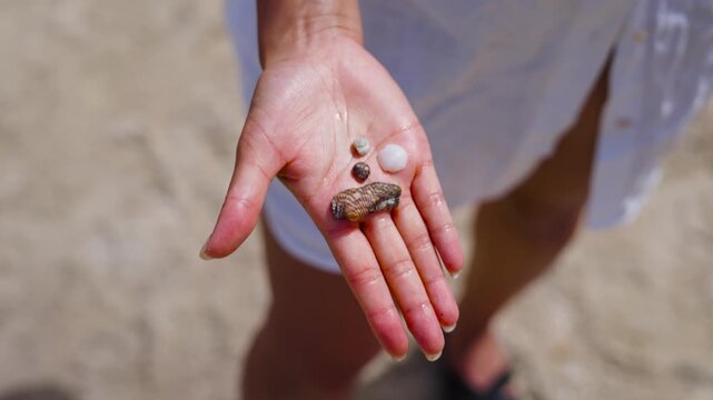 Woman open palm and hold shells in hand from Balearic sea, Mallorca