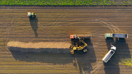 Aerial view on truck shift, loading sugar beet for transportation