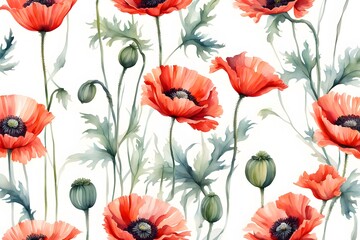 Watercolor oriental poppy flowers white background, Ai Generated