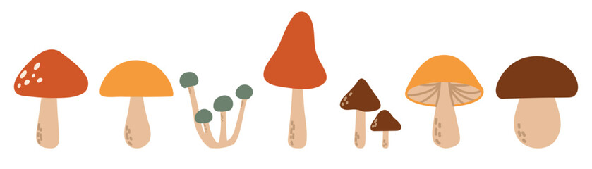 Simple mushroom set Autumn set of hand drawn cute and cozy design elements Fall Thanksgiving Day.