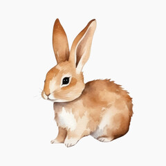 Fototapeta premium Cute watercolor bunny illustration