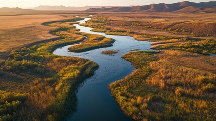 A river with a green and brown color