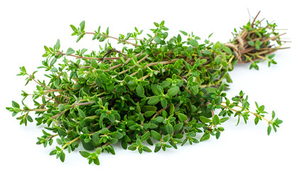 Obraz premium flowering twig thyme spice isolated on white background