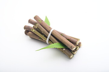 BEAUTIFUL NEEM STEM WITH NEEM LEAF ISOLATED ON WHITE.