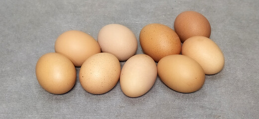 Chicken eggs on a gray background