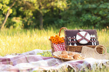 Picnic basket with tasty food on plaid in park