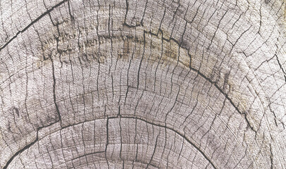 Fototapeta premium Old wooden floor with a beautiful texture.