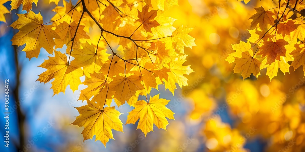 Aufkleber yellow maple leaves on a tree on an autumn sunny day soft warm autumn background generative by ai
