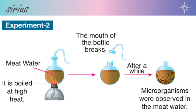 Pasteur Experiment Diagram 2. Pasteur disinfection experiment. Pasteur theory for life beginning.-Science Vector Illustration