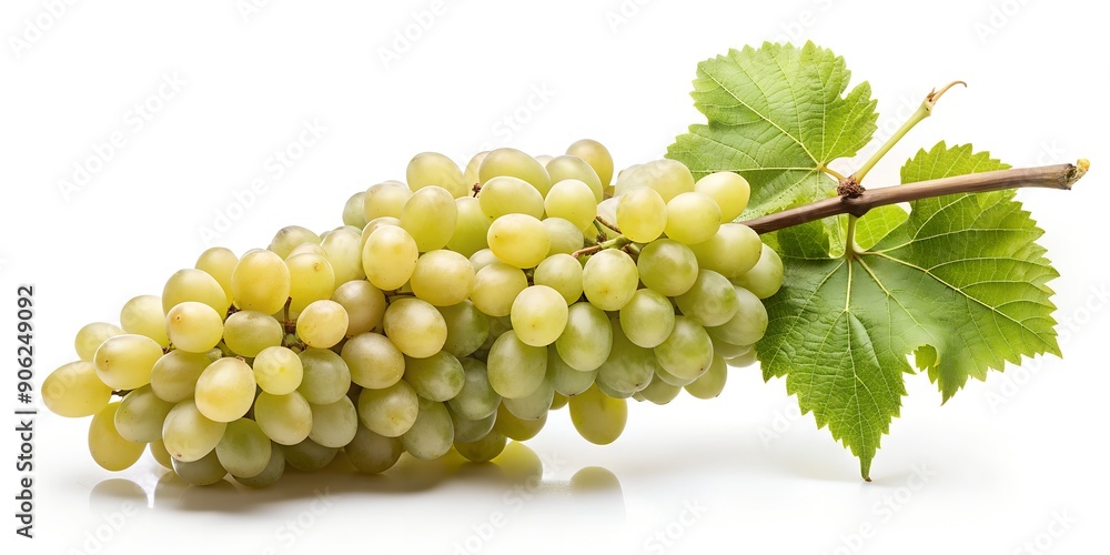 Poster on a white grape branch on a white background generative ai