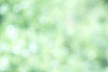 Soft focus Green Pastel Abstract bokeh background Glittering aesthetic textured pattern