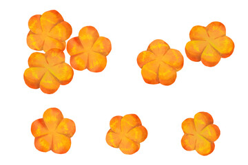 飾り切りしたニンジンの水彩風ベクターイラスト　梅