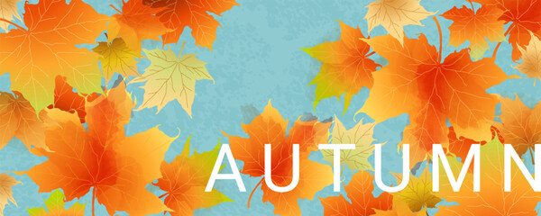 Autumn abstract banner with bright beautiful maple leaves. Fall art background, poster, cover or flyer design. Vector template for advertising, print, packaging, social media