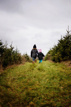 Young sisters walking through pine tree farm at Christmas