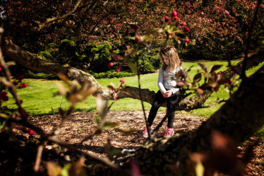 Young girl sitting on branch of colorful Magnolia tree